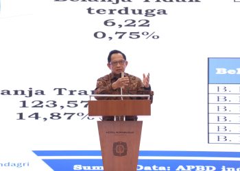 Mendagri Minta DPRD Sinergi dengan Kepala Daerah Perkuat Kemandirian Fiskal 