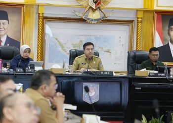 Sekjen Kemendagri Imbau Pemda Lakukan Langkah Konkret Pengendalian Inflasi 