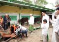 Bupati Fadhil Arif Serahkan Se-Ekor Sapi Qurban ke Masjid Jami’ Baiturrahim Pasar Terusan