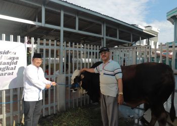 Presiden RI Salurkan Sapi Kurban, Bupati Anwar Sadat Serahkan ke Masjid Agung Al-Istiqomah