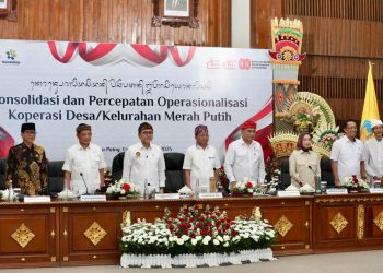 Mendagri Pastikan Satgas Pembentukan Kopdeskel Terbentuk di Seluruh Daerah 