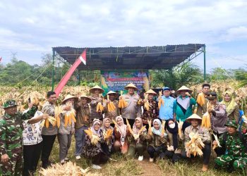 Wujud Implementasi Program Asta Cita Bidang Ketahanan Pangan, Kapolres Sarolangun Pimpin Panen Jagung di Kecamatan Batin VIII