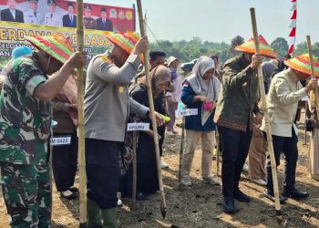 AKBP Wendi Oktariansyah S.I.K M.H Bersama Bupati Sarolangun Lakukan Tanam Padi Gogo Di Desa Tanjung Kecamatan BatinVIII