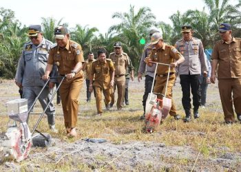 Bupati Merangin, Unsur Forkompinda dan Plt Kadis Tanaman Pangan dan Holtikultura Tanam Jagung di Desa Mentawak