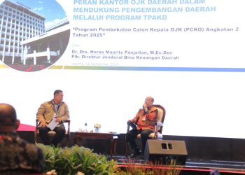 Sinergi Ditjen Bina Keuangan Daerah, OJK dan TPKAD Dorong Perekonomian Daerah 