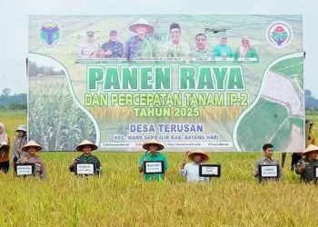 Bupati Batanghari Wujudkan Petani Terusan Sejahtera