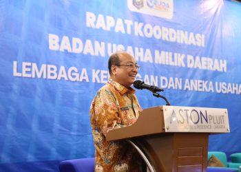 Ditjen Keuda Kemendagri Dorong Optimalisasi BUMD sebagai Lokomotif Ekonomi Daerah